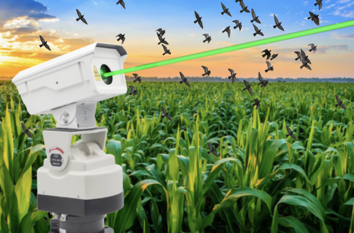 Automated laser system deterring birds